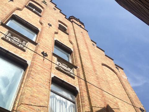Het projectgebied