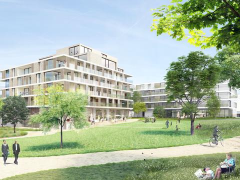 Collegesite groen en zichtassen